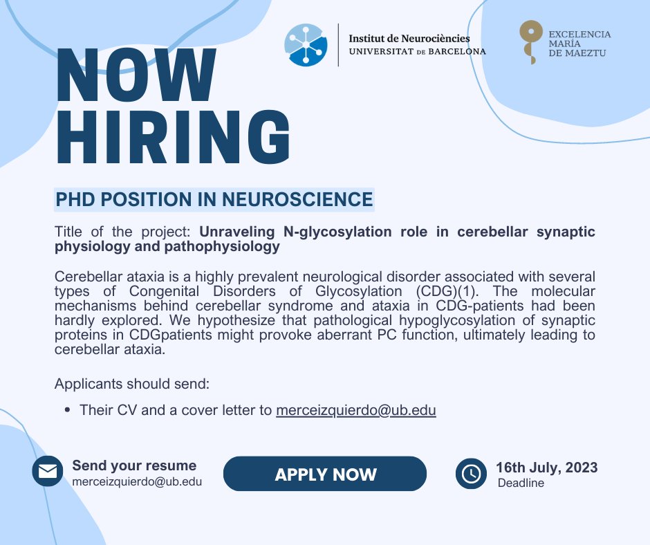 #VACANCY | A PhD position is offered in the Neurophysiology Lab from @UniBarcelona and Institute of Neurosciences-UB 👉 ow.ly/GSse50Ozpz7 

🧠 PhD Position in Neuroscience

📅 Deadline: 16th July 2023

📢 More information ow.ly/Mwti50Ozpz8