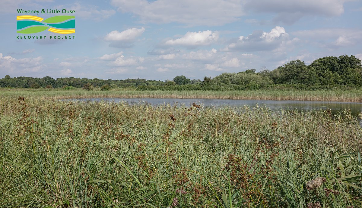 Please can you take some time to complete our short survey? We are working with other partners in a pilot study to help find ways to restore biodiversity, natural habitats and ecosystem functions. Find out more here... 

smartsurvey.co.uk/s/SWTtwitter/