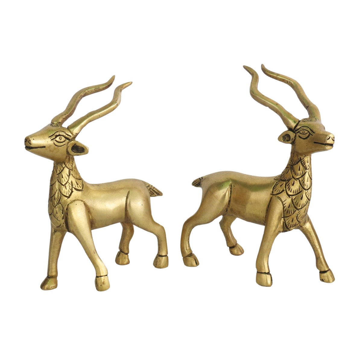 bharathaat's tweet image. ➡️𝐏𝐮𝐫𝐞 𝐁𝐫𝐚𝐬𝐬 𝐃𝐞𝐞𝐫 𝐏𝐚𝐢𝐫
📷 𝐏𝐫𝐨𝐝𝐮𝐜𝐭 𝐃𝐞𝐭𝐚𝐢𝐥𝐬 
✔ Product Name: Pure Brass Deer Pair 
✔ Color: Golden Yellow kalarambhbybharathaat.com/product/deer-p…
#keychaincollection #keychain #deer #animal #animallovers #showpiece #brass