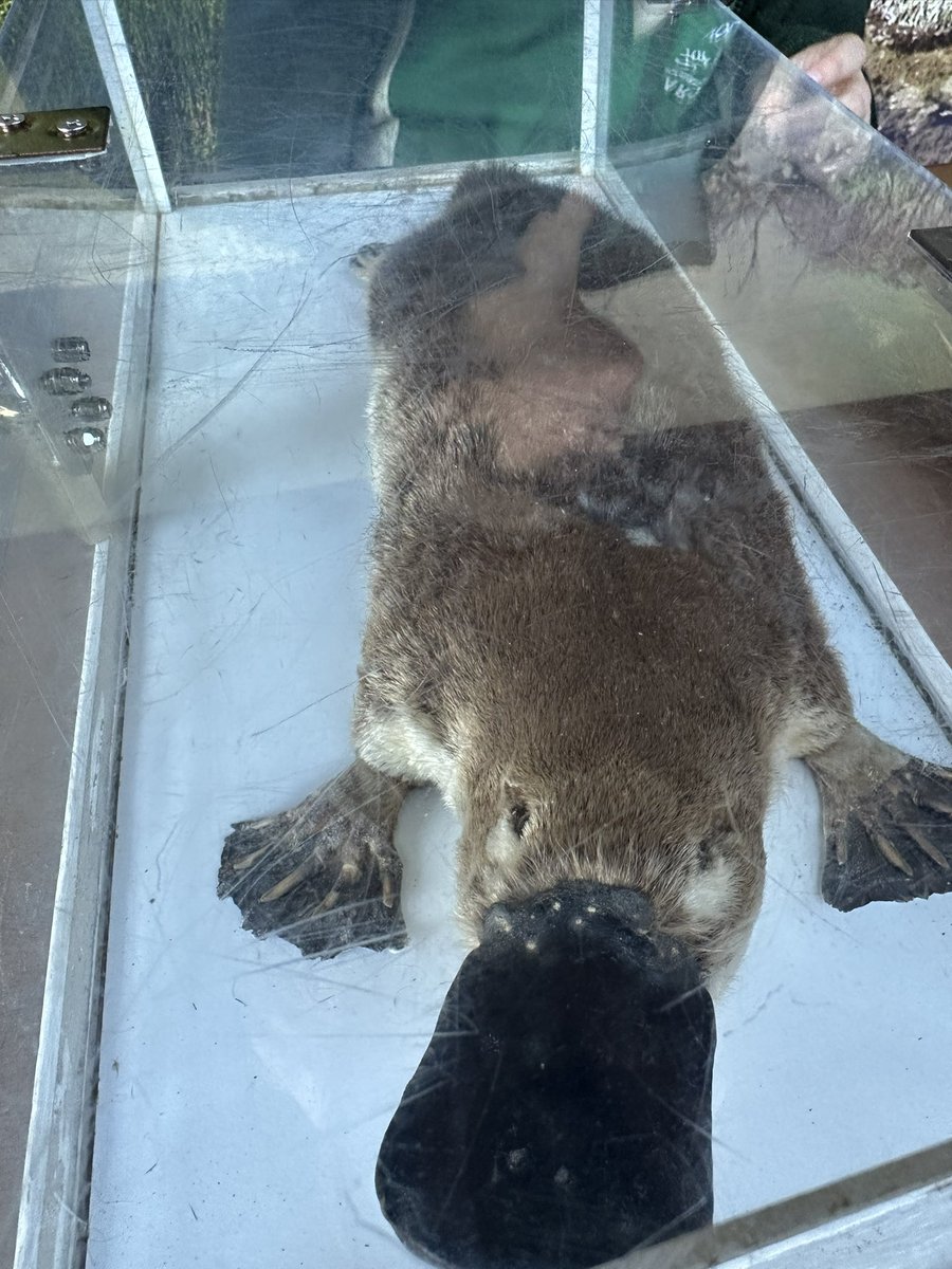 Feeling a bit spooked 😱