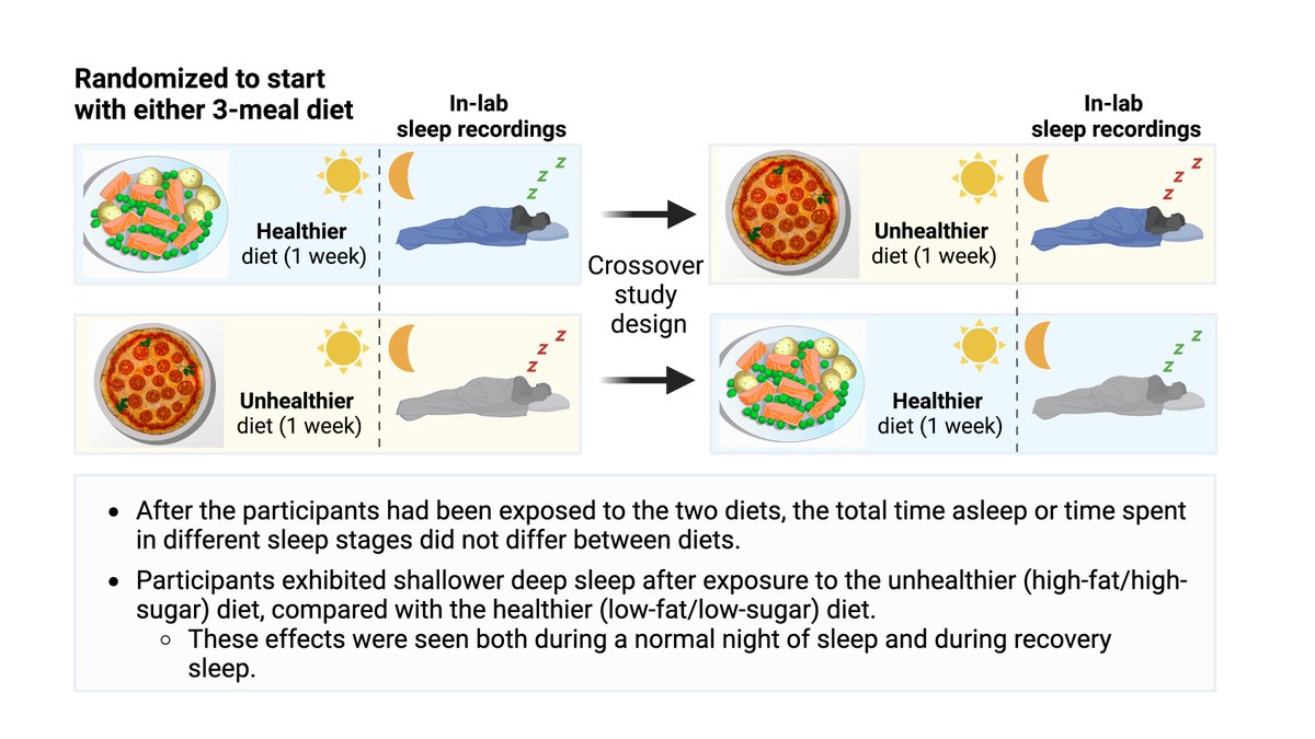 JCedernaes's tweet image. Happy to share our new study! 🔔

How what you eat may impact the restorative properties of your #sleep 💤

Now out @ObesitySociety! Great teamwork with all involved, including great EEG analyses by @leduardobrandao.

More details to come in the 🧵 below!
onlinelibrary.wiley.com/doi/full/10.10…