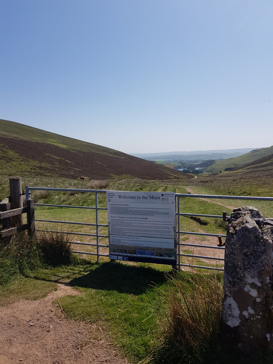 Braes DofE tweet media