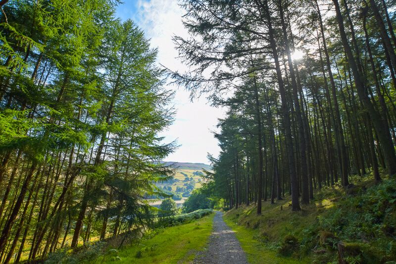 Peak District Walks ⛰🌞☔⛄ tweet media