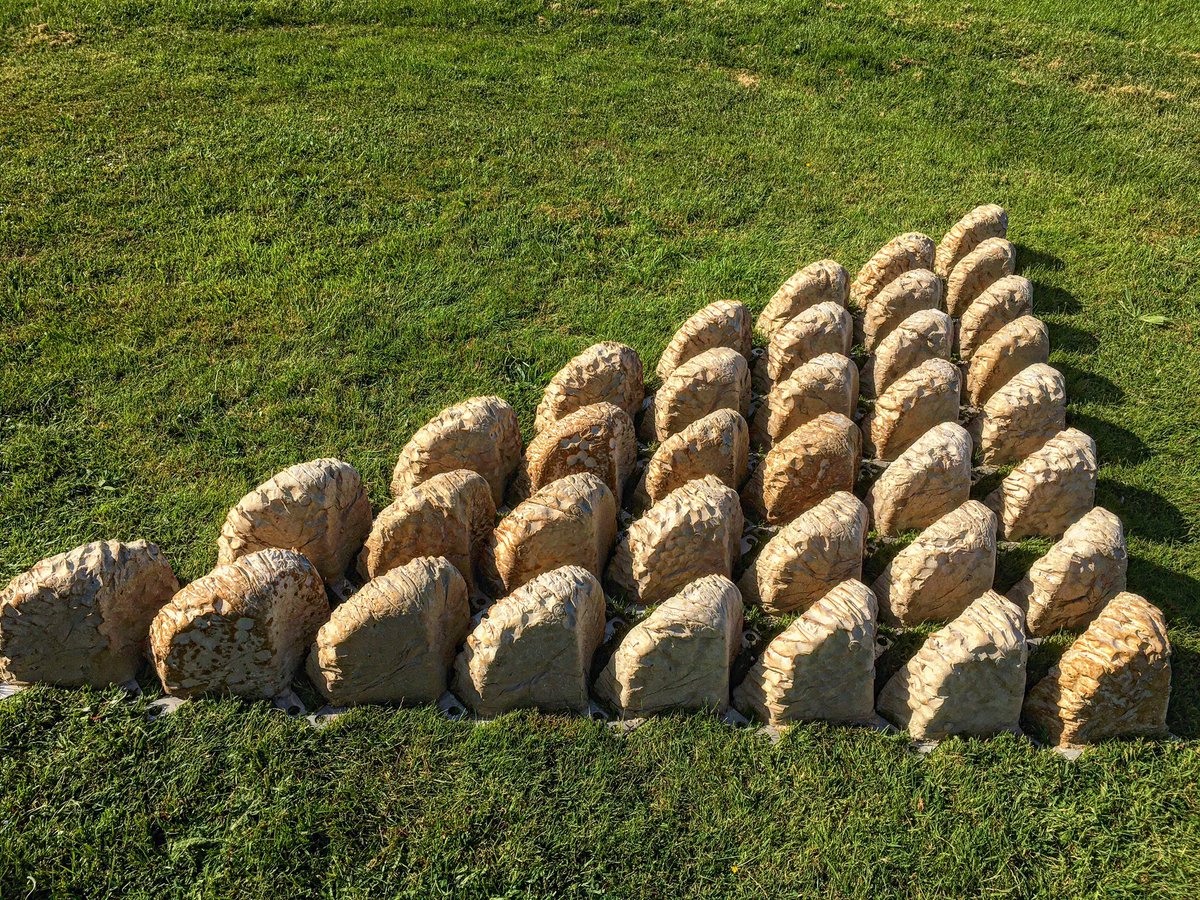 36 Sandown Vertipools laid out in what henceforth will be know as the ‘Blyth Array’. Ready for shipping…..better get them in the boxes and on their way!!
#iwbiosphere