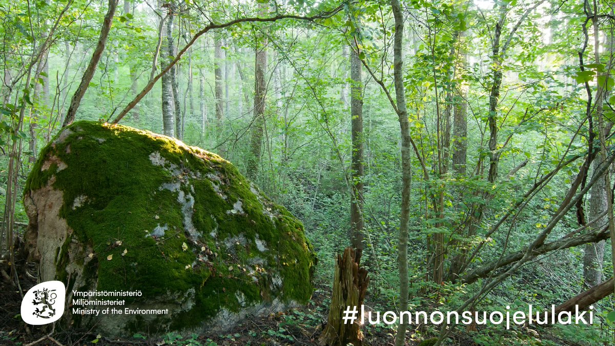 Ympäristöministeriö (@yministerio) on Twitter photo Uusi luonnonsuojelulaki tulee voimaan 1. kesäkuuta⚖️
Luonnonsuojelulaki on yksi tärkeimmistä keinoista turvata Suomen luonnon monimuotoisuutta.
Tiedote: ym.fi/-/uusi-luonnon…
Laki: finlex.fi/fi/laki/alkup/…
Mitä uusi #luonnonsuojelulaki tuo tullessaan? Ketjussa poimintoja⬇️ Uusi luonnonsuojelulaki tulee voimaan 1. kesäkuuta⚖️
Luonnonsuojelulaki on yksi tärkeimmistä keinoista turvata Suomen luonnon monimuotoisuutta.
Tiedote: ym.fi/-/uusi-luonnon…
Laki: finlex.fi/fi/laki/alkup/…
Mitä uusi #luonnonsuojelulaki tuo tullessaan? Ketjussa poimintoja⬇️