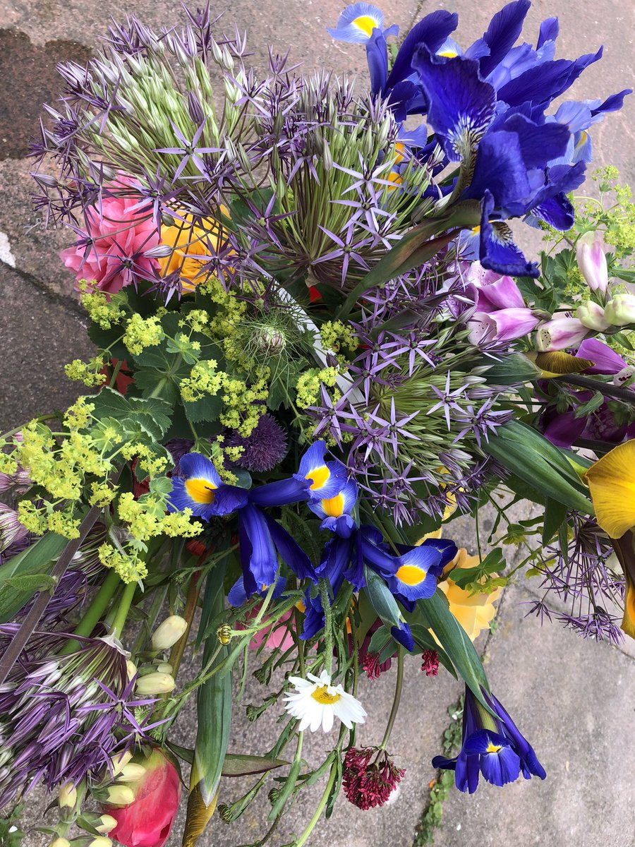 auntyclare64's tweet photo. Allotment joy.
2x
#30stemchallenge
inspired by @CommonFarm1
these destined for family members in Sussex-
so into the back of the car they go…
#homegrown https://t.co/jdggrH2ttg