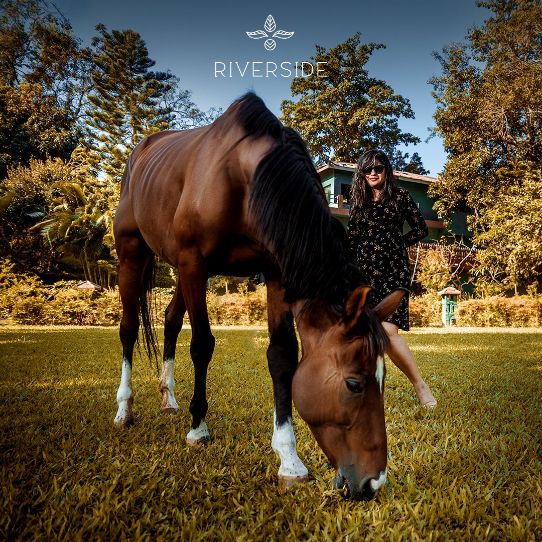 staywithaahma's tweet photo. Unleash your inner adventurer at #RiversidebyAahma with #horseriding. Hop on the back of a gentle horse & let them be guide as you wander through the property, immersing yourself in the beauty of #nature & the bond with these majestic animals
#aahma #aahmahospitality #jimcorbett https://t.co/XcH8Ri7uQl