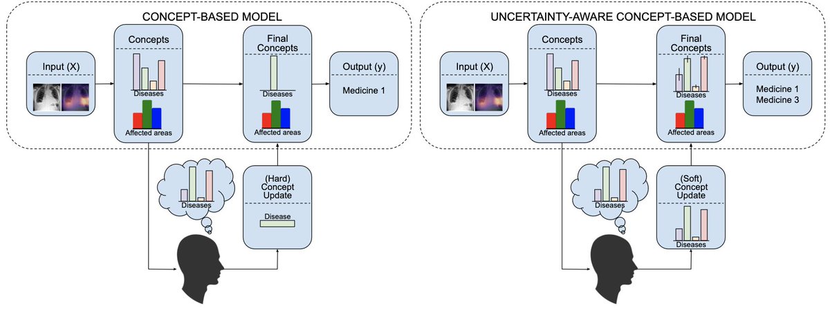 Concept-based systems, which map to human-interpretable concepts before final prediction, offer transparency + permit humans to intervene on preds. Practitioners working w/ such models often assume humans are certain oracles over concepts. Yet, real humans may be uncertain! 1/