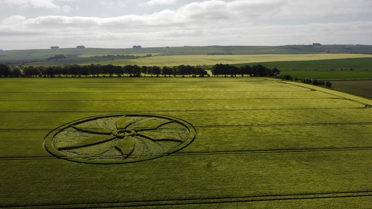 New Crop Circle.

Broad Hinton, Wiltshire.

More photos and video available on our patreon shortly!

#ufotwitter #CropCircle #sacredgeometry #art #landart