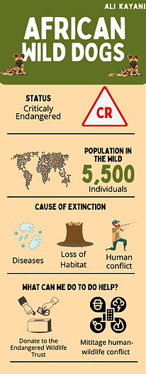 Akschool27's tweet photo. Down below is my infographic!  #39canimals https://t.co/0GE2Ixwlo6