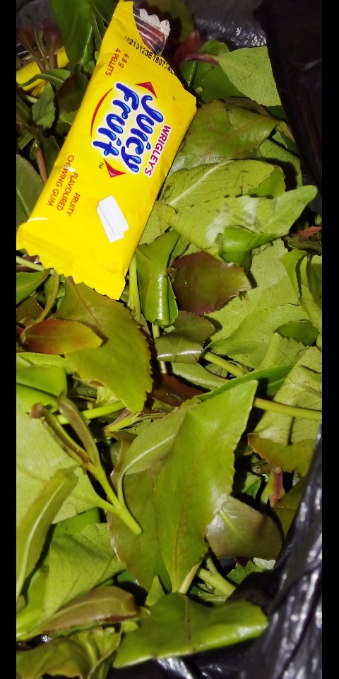 What are you having for lunch??
Me👇👇