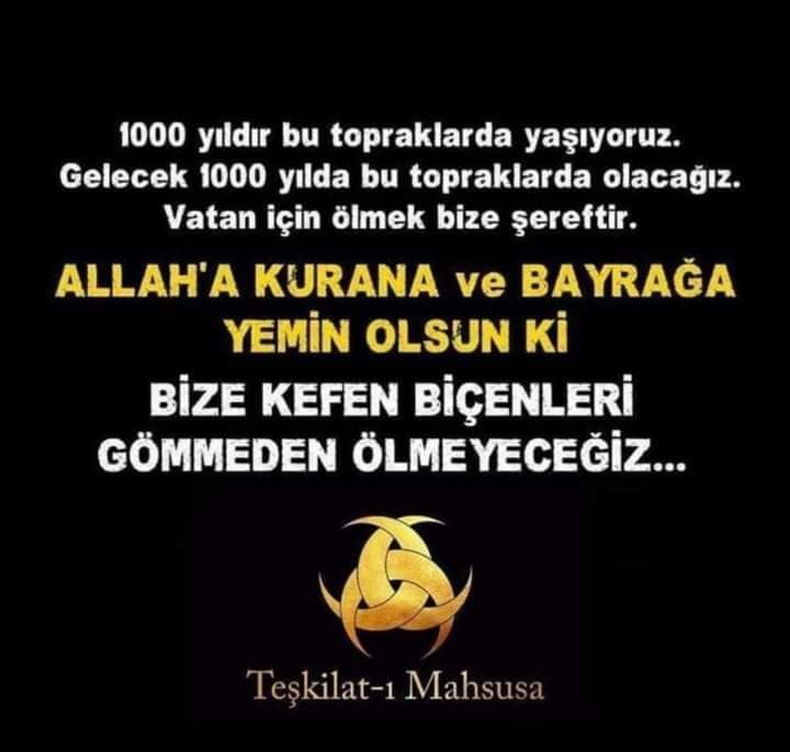 🇹🇷🟢🇹🇷🟢🇹🇷🟢🇹🇷🟢 (@araplili1) on Twitter photo 