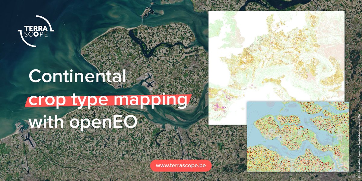 🆕 Discover how you can use <a href="/openEO_Platform/">openEO Platform</a> to produce continental #crop type maps 🌾🛰️🌍

This new workflow, developed by <a href="/VITO_RS_/">VITO Remote Sensing</a>, uses various types of data inputs and a #machinelearning model.

Read more about the possibilities, setup &amp; challenges ➡️ bit.ly/Terrascope_ope…