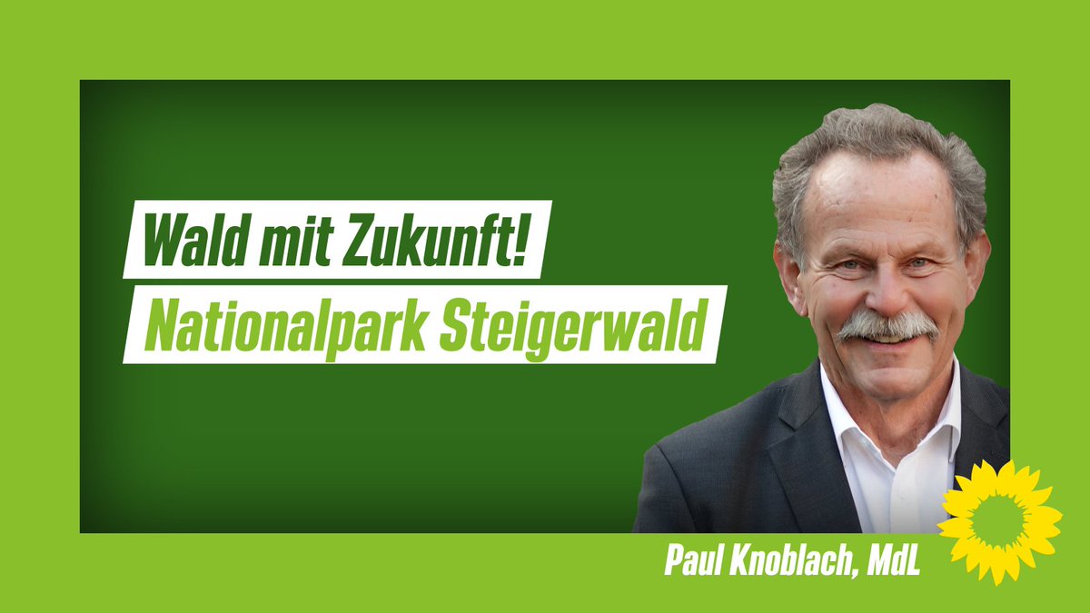 PaulKnoblach's tweet photo. Ein #Nationalpark im Steigerwald würde einen besonders schützenswerten #Buchenwald in den Fokus nehmen, wie er in Deutschland nahezu kaum mehr vorzufinden ist. Ich möchte, dass Bayerns dritter #Nationalpark im Steigerwald entsteht! https://t.co/rVq4KN1IpF https://t.co/hGuQQsh4cC