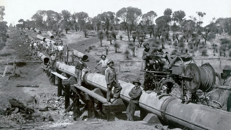 Sinéad Mangan tweet media