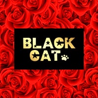 BLACK CAT【蒲田ガールズバー】