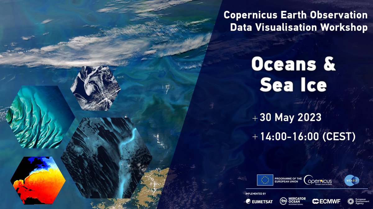 ⚠️Don’t miss out on our ‘Oceans & Sea Ice’🧊 workshop today! 
Learn how to access and use #Copernicus #OceanData for storytelling, and hear from world-class experts on using this data to report on the challenges the ocean faces 🌊
Still time to register 👉 eodata4storytelling.eu