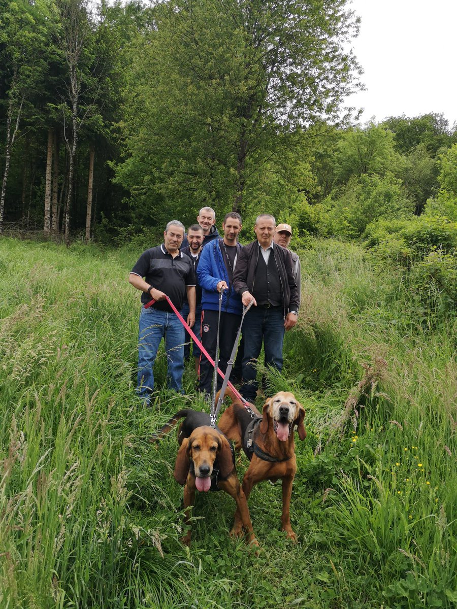 Ccas_Besancon's tweet photo. Les résidents de la Maison Relais Agora et de la Maison Relais l'Autre Toit poursuivent les balades à la SPA de #Besançon. Ils contribuent au bien-être et la socialisation des #chiens dans l’objectif de l’adoption. Cette fois-ci, ce sont Tarzan et Tikka qui ont été promenés. https://t.co/8uOEmCRsRR
