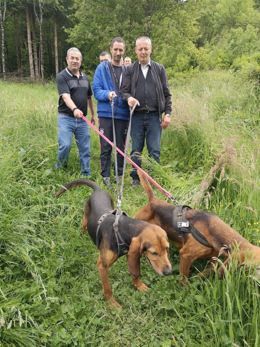 Ccas_Besancon's tweet photo. Les résidents de la Maison Relais Agora et de la Maison Relais l'Autre Toit poursuivent les balades à la SPA de #Besançon. Ils contribuent au bien-être et la socialisation des #chiens dans l’objectif de l’adoption. Cette fois-ci, ce sont Tarzan et Tikka qui ont été promenés. https://t.co/8uOEmCRsRR