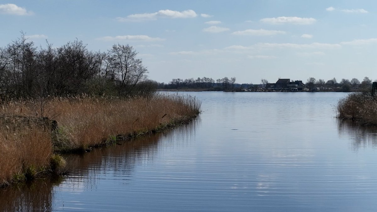 Netwerk Groeningen tweet media