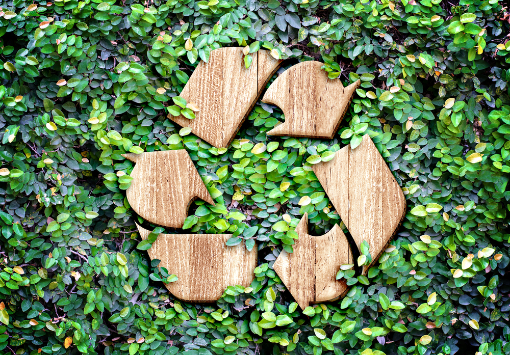 Forget reading, writing and arithmetic, the 21st-century's three Rs are all about the benefits of @Revive_paper. Our products can: 

Reduce carbon emissions 📉
Reuse a natural resource that can be 🌲
Recycled many times over ♻

bit.ly/3ovwQ0D