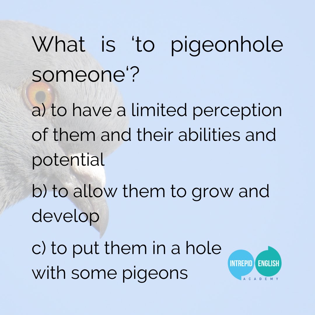 Do you know the meaning of this vocabulary word? Have you ever been pigeonholed? 👀

Post your answer in the comments! 👇

#pigeonhole #englishvocabulary #quiz #englishwordsquiz #esl #onlineenglishlessons