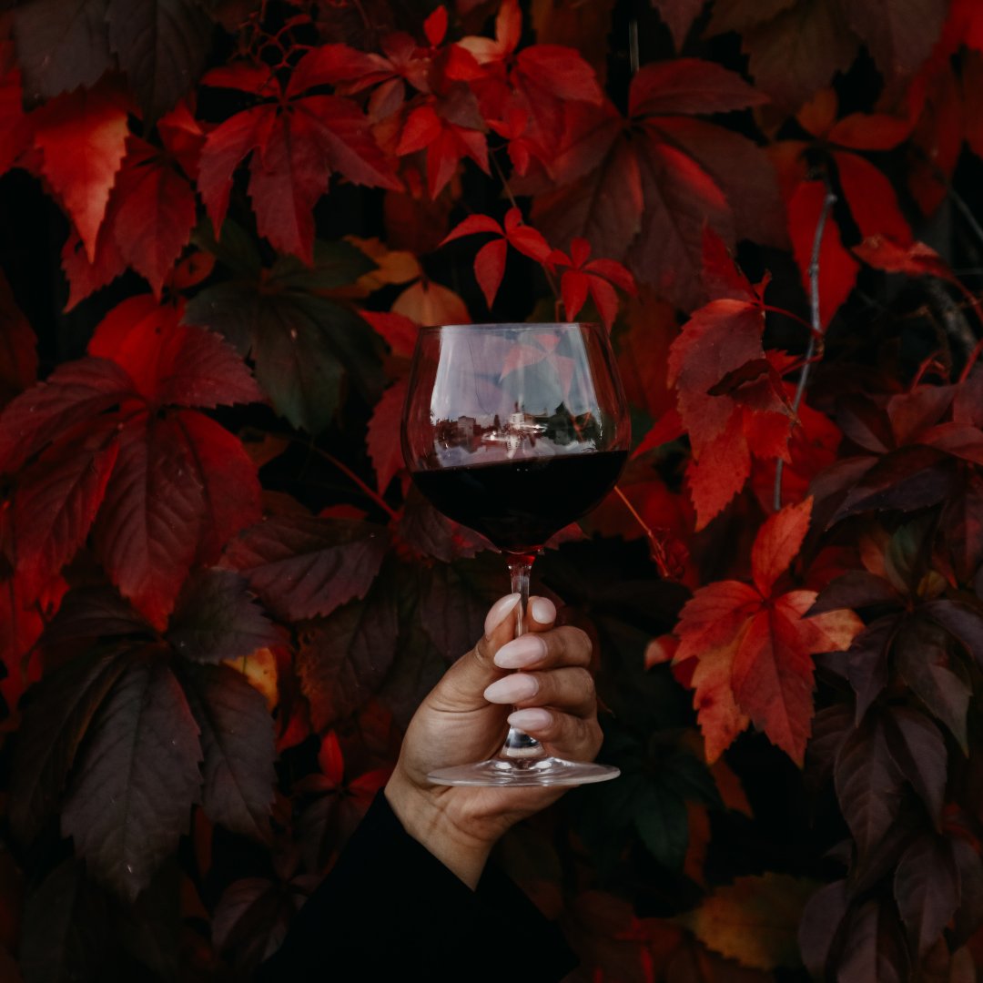 edenvalewine's tweet photo. The colder the weather, the deeper the red. ๐ท
#edenvalewines #nonalcoholic #alcoholremoved #lovingtwentytwentyfree #alcoholfree #redwine #hearth #mulledwine #wine #winelover #vino #winetasting #winetime #winelovers #instawine #winestagram #wineoclock #winery #winelife #wines https://t.co/4p4VAtrRY2