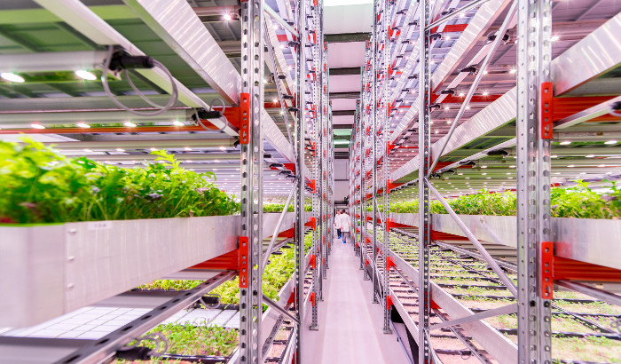El #LED permite mejorar el modelo productivo #agroalimentario y la optimización de los recursos 🌱

Este tipo de #iluminación logra aumentar la producción de #alimentos en más de un 30 %.

Así lo hemos demostrado durante la #InfoAgroExhibition 👉 signify.co/3IHbnZM
