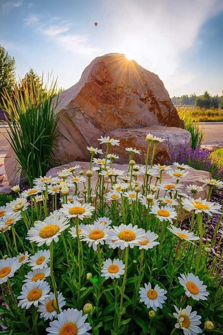 alexa_xan7's tweet photo. good morning and nice day 🌼 https://t.co/OYGD5FuvqL