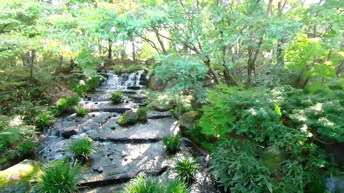 kimochi_japan's tweet photo. 【兵庫・好古園】日本庭園が紅葉で綺麗に色づいてます。庭園が美しい! https://t.co/VeOlxFRsW9 #Japan #Himeji #好古園 #shopping #food #trip #Autumnleaves #姫路城 #姫路 #白鷺城 #世界遺産 #ShirasagiCastle #食べ歩き #国宝 #天守閣 #castletower #歴史 #庭園 #garden #観光 #旅 #旅行 https://t.co/4nIY0IQMhc