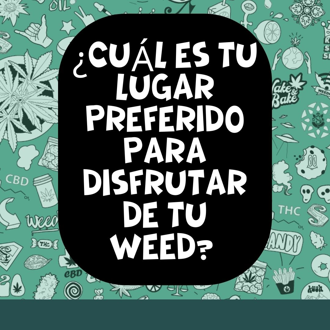 sweetseeds_es's tweet photo. 🌎😍Todos los amantes del cannabis tenemos un lugar favorito! 🤗Vamos a descubrirnos #SweetPeople 🐘💚
🤔Qué prefieres.. ¿Sol@?☝️🏼¿En compañía?👥 ¿En casa?🏡 ¿En la playa?🏖️ ¿En la montaña?🌄
#CannabisCommunity #SweetSeeds #CannabisSeeds
#tuesdayvibe https://t.co/VyznjJsuo3