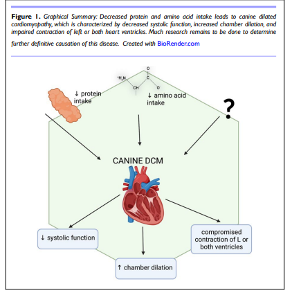 EditorAFTNSOJ's tweet photo. Diet-Mediated Dilated Cardiomyopathy in the Canine by Alison Ramser, PhD [ISSN 2377-8350]

📖Read the entire article here: https://t.co/9sPintUIp8

For manuscript submission click here: https://t.co/LTmHsFSLsL

#openventio #OpenAccess #Baltistan #nutrition https://t.co/ZKZuNAdXCg