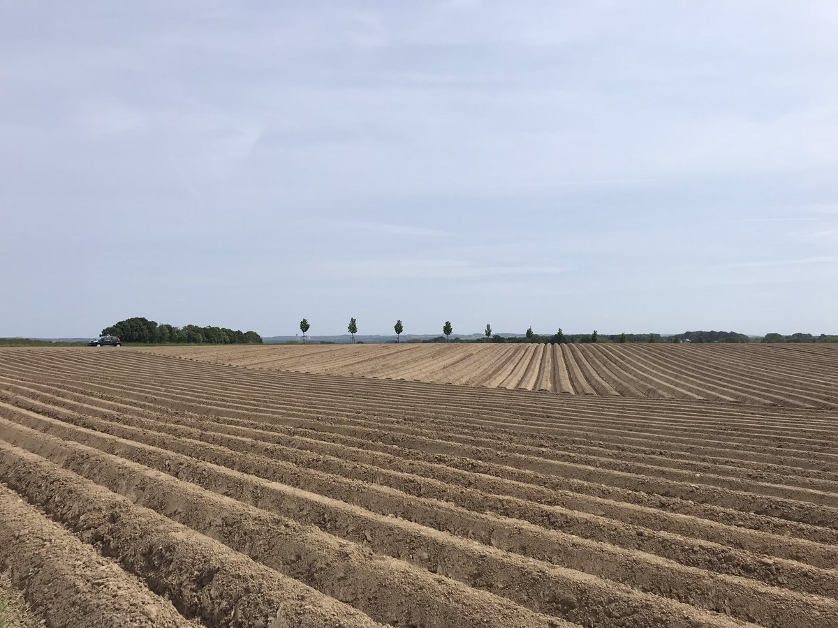 Lijnenspel in Nuth #MagnifiekZL