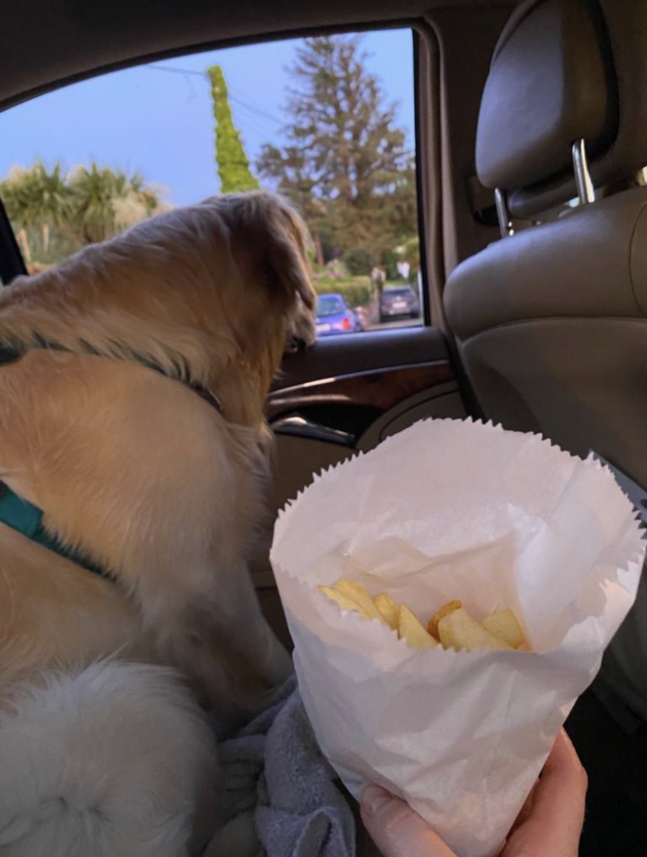 I couldn’t even watch. The person that walks me on the beach stopped at a shop for hot potatoes fried in France and gobbled them in the car. I was told they were too salty for me. I’ll sulk for a while. <a href="/dog_rates/">WeRateDogs</a> <a href="/dog_feelings/">Thoughts of Dog</a> <a href="/CuteGoldens/">Golden Retrievers</a> <a href="/SpikeyGolden/">Spikey_the Golden</a> <a href="/GoldenGeorgeous/">Gorgeous George</a>