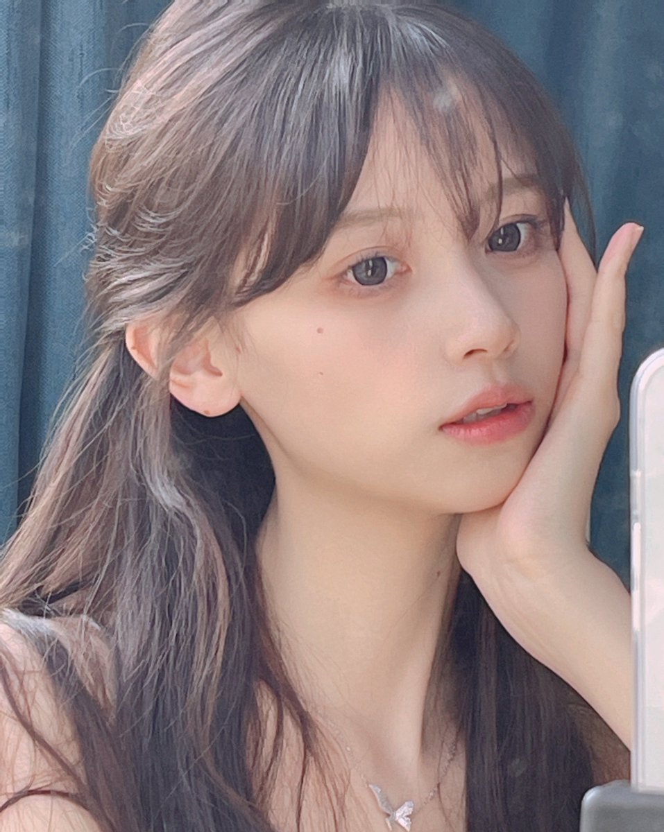 🐱喵出没🐱 tweet media