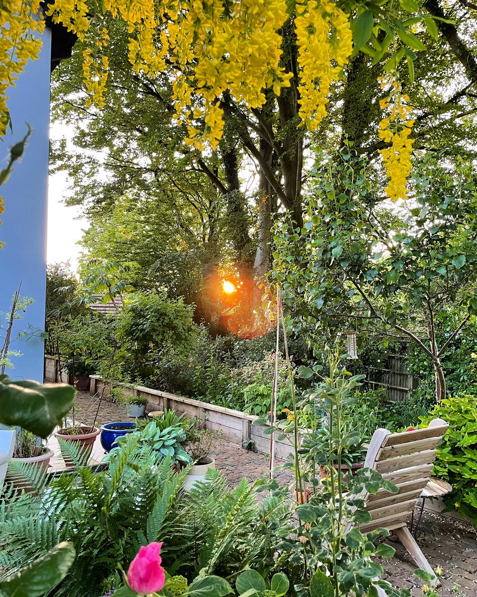 Stifyn1's tweet photo. Look to the light #goleuni #looktothelight #garden #sunset #naturephotography #may #spring #tuesday https://t.co/JBcntXazaB