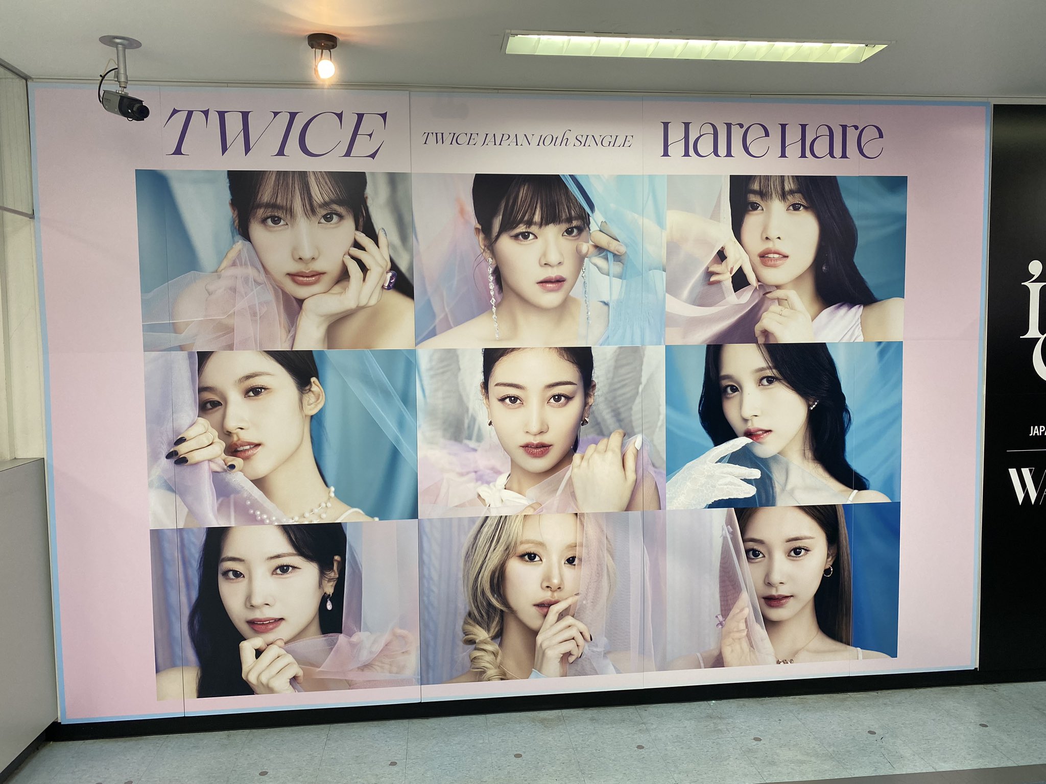 2022年激安 twice hare hare チェキ ツウィ 当選品 タワレコ スポーツ