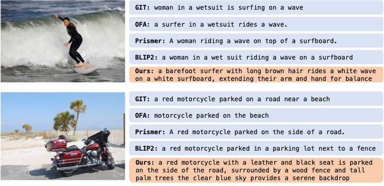 Noam Rotstein tweet media