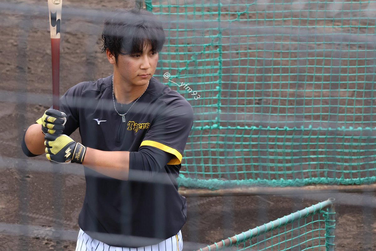 5/27 @ 鳴尾浜 

試合前練習
フェンスに邪魔された

#井坪陽生 選手
#よもちゃんの成長記録