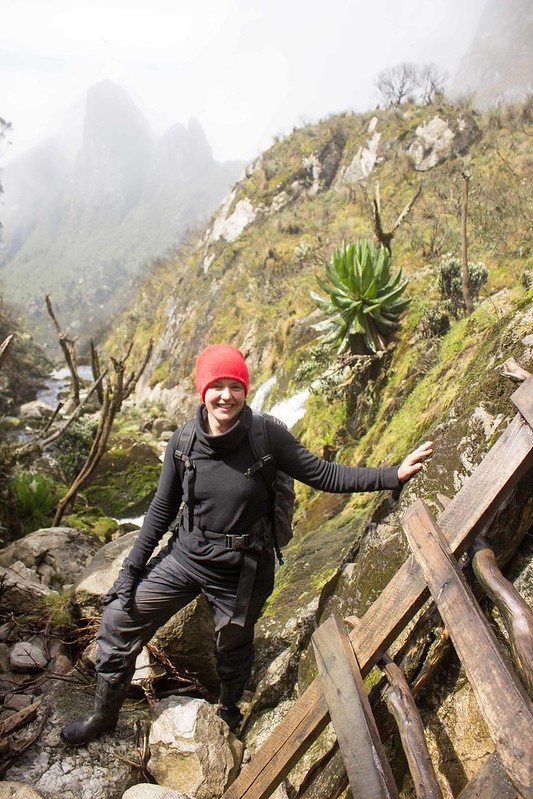 #Rwenzorimountainhiking,#bonobosafricansafariholidays,#safari,#safaritours,#safaripackages,#safariphotography,#holiday,#holidaypackages,#holidayseason,#holidaytours,,#wildlife,#wildlifetours,#visitafrica,#visituganda,#visitkenya,#visittanzania,#visitrwanda,#carhire,#carhireuganda