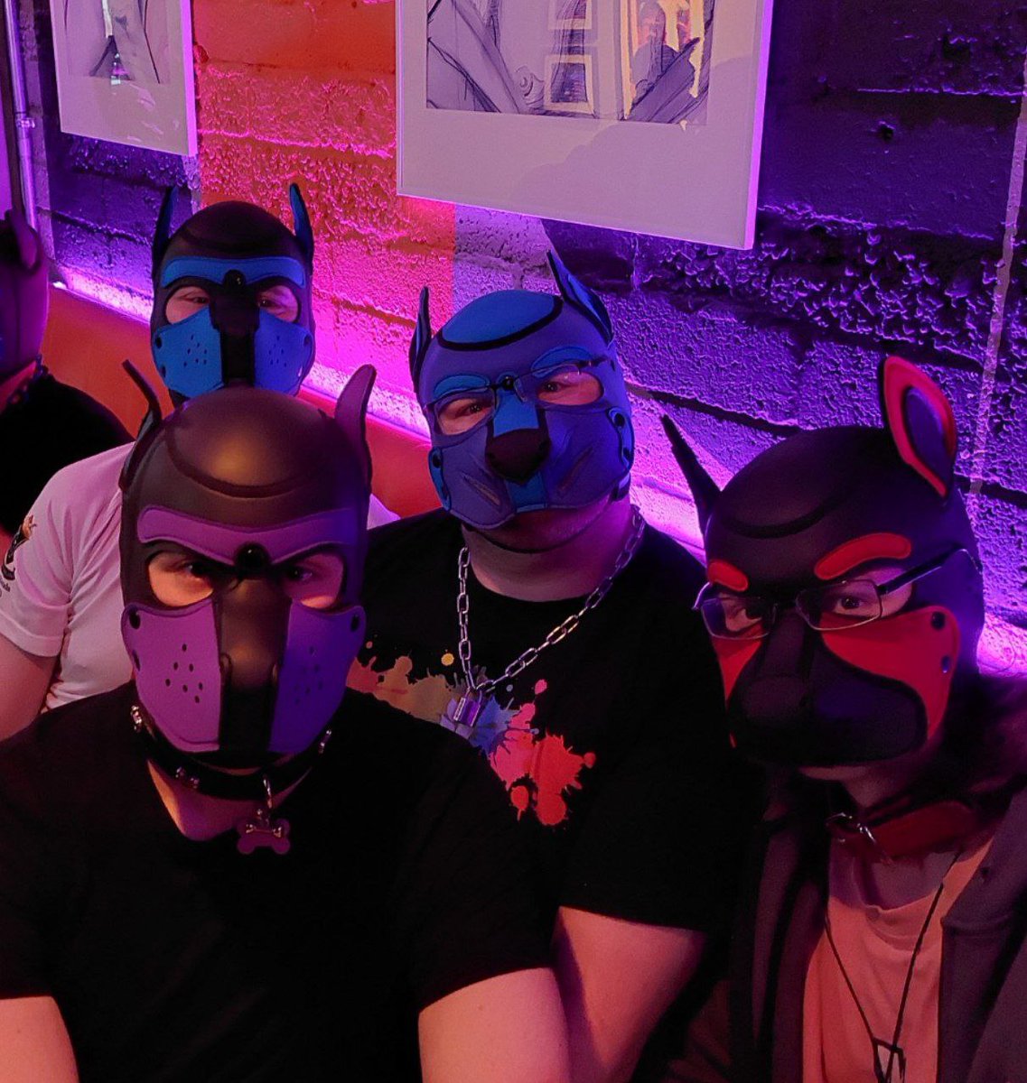 Pups & Handlers Of Ireland tweet media