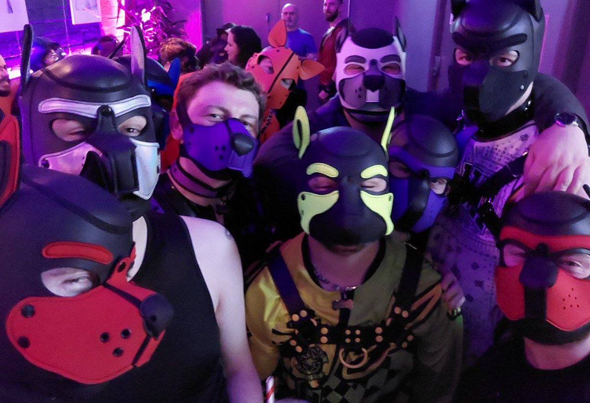 Pups & Handlers Of Ireland tweet media