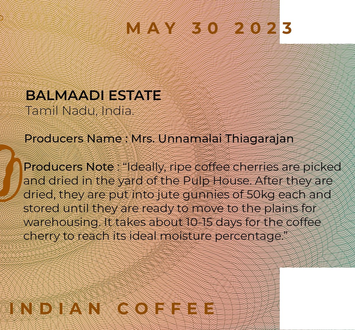 Corridor Seven Coffee Roasters tweet media