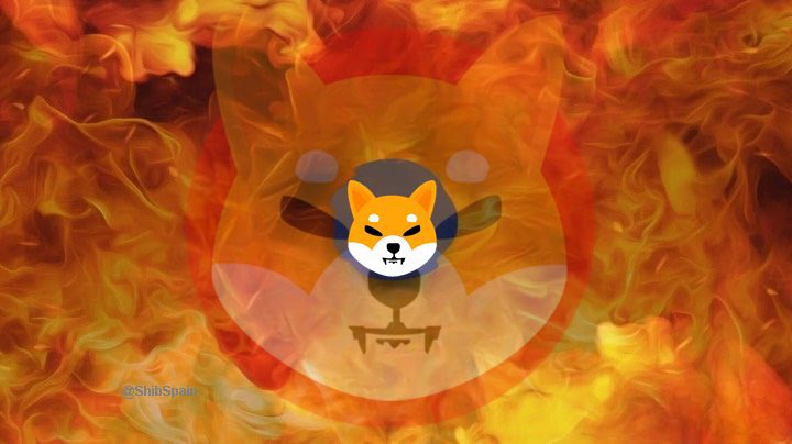 When things start to heat up and #Shibarium MainNet is fully launched, $SHIB will start deleting zeros like crazy. 🚀🚀🔥🔥🔥

#SHIBARMYSTRONG #Atlee #fridaymorning #MonacoGP #Shibarium #ShibaArmy