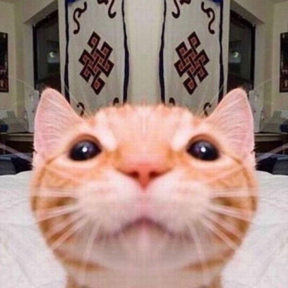 hii,i humtwt !!!