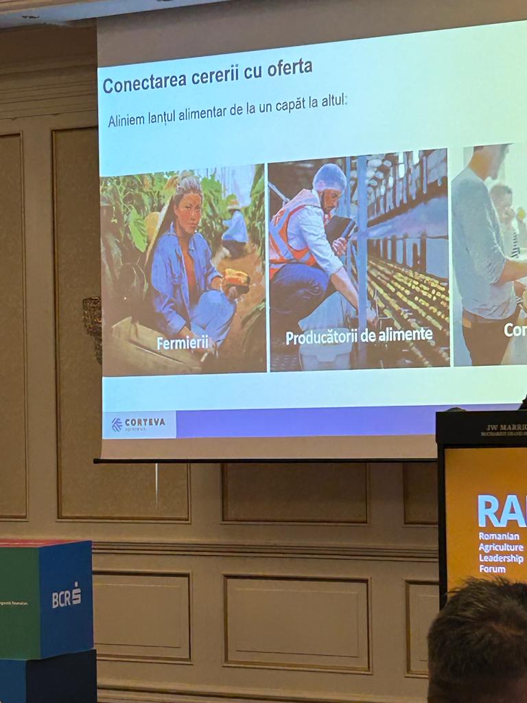 Beia Consult Int tweet media