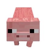 c06210's tweet photo. マインクラブタが出現!
超可愛い豚をもっと出荷しよう！ https://t.co/AmvGiWeKPv