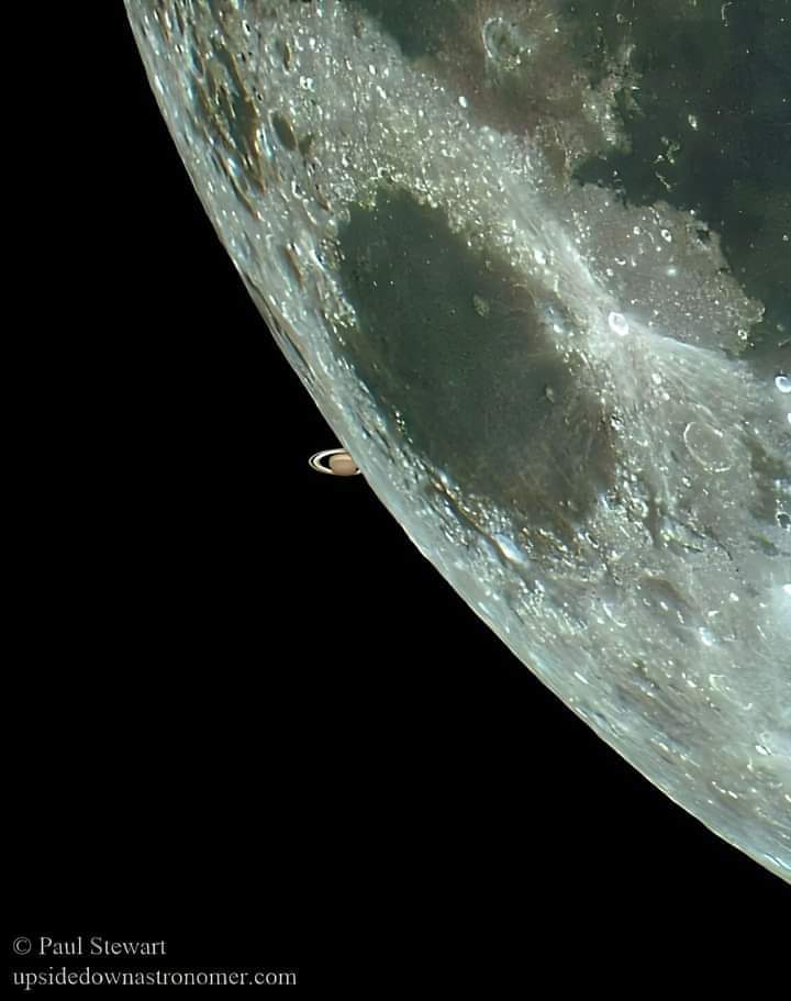 Incredible photo shows Saturn peeking out from behind the Moon.

 📸© Paul Stewart