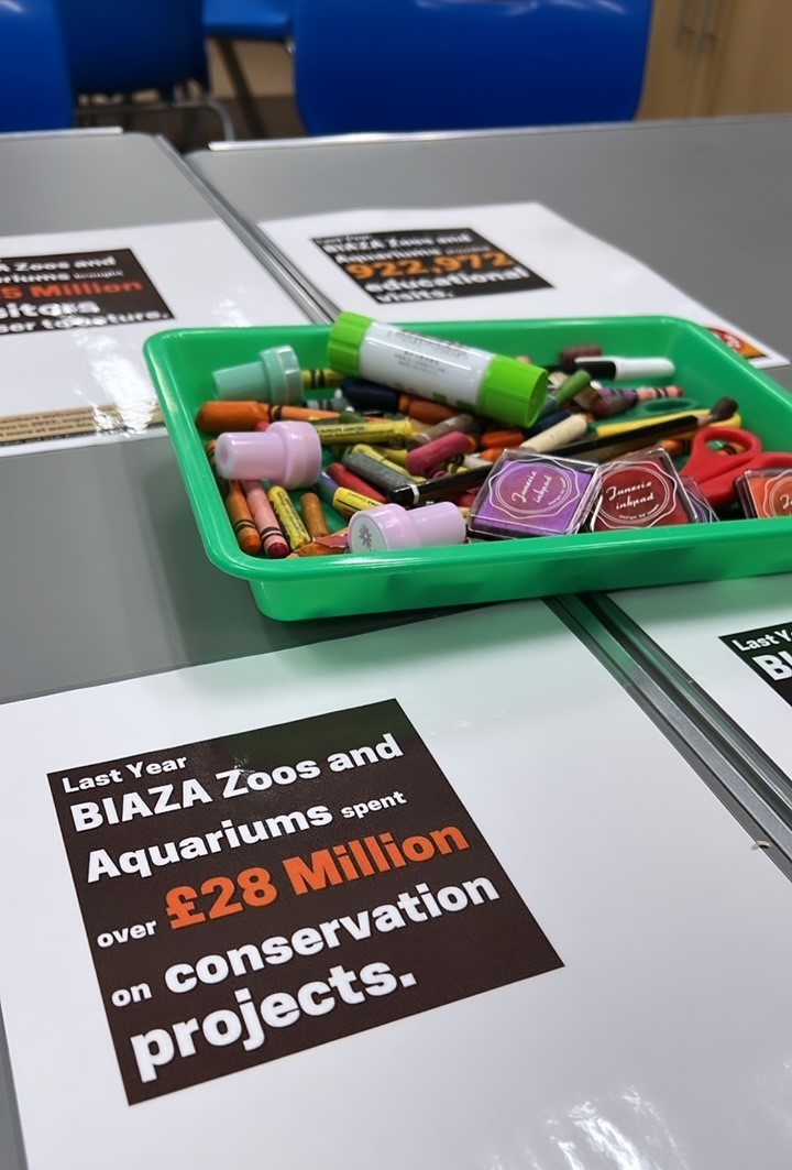WelshMountainZo's tweet photo. Don't forget to join us for our art and craft session, today between 11am-12pm in the WILD Centre! π¨
#LoveYourZooWeek #BIAZA #JoinUs #ThisMayHalfTerm #ZooEvents #ArtsAndCrafts #SupportingConservation #WelshMountainZoo #NationalZooOfWales #Eryri360 #TenTop https://t.co/J5lSUJ41B0