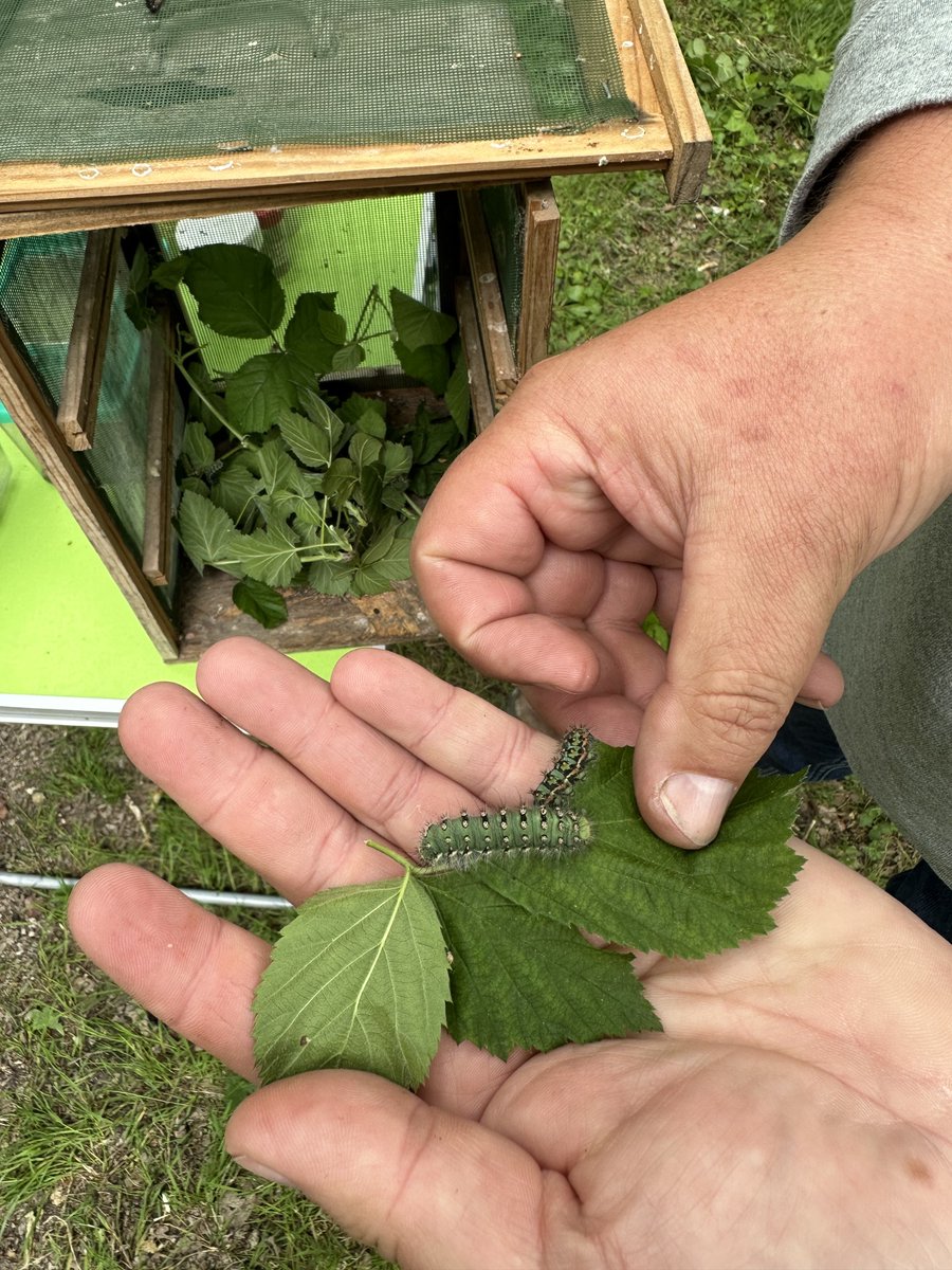 🌿Mercredi 24 mai 2023☀️

Nous avons célébré la fête de la nature à l’étang de bizadan. Pour cet événement convivial, nous avons collaboré avec des entreprises/associations locales.

J'ai été ravie d'organiser cet événement et remercie toutes les personnes présentes.